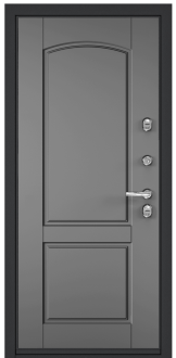 DOMANI 100  SW-C2 (  ЛКП темный пепел) back picture