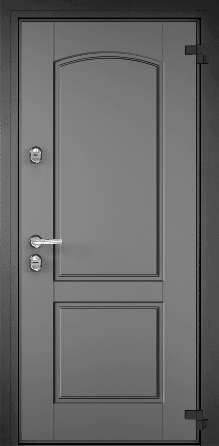 DOMANI 100  SW-C2 (  ЛКП темный пепел) front picture